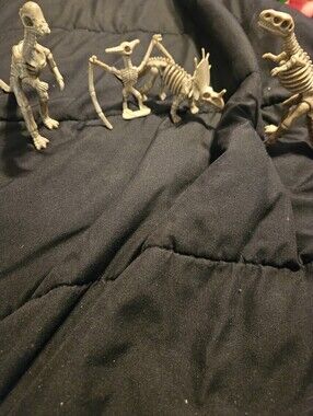 Set of 4 Dinosaur Skeletons toys